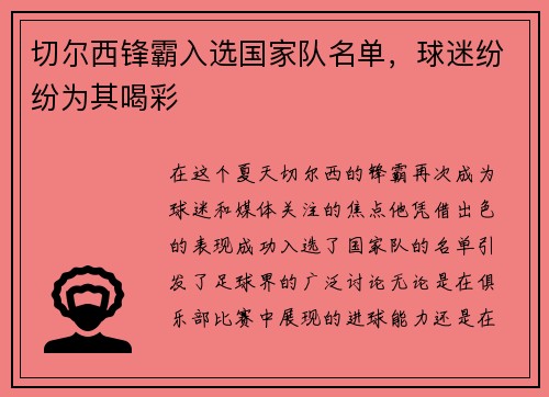 切尔西锋霸入选国家队名单，球迷纷纷为其喝彩