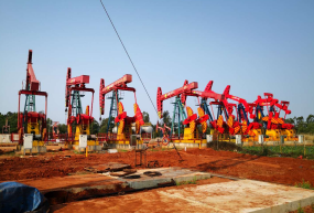 ��Ƶ��, �����ޱ�Ƶ��, ʲô�������ޱ�Ƶ��, �����ޱ�Ƶ������Щ, �����ޱ�Ƶ����, ���ͻ�